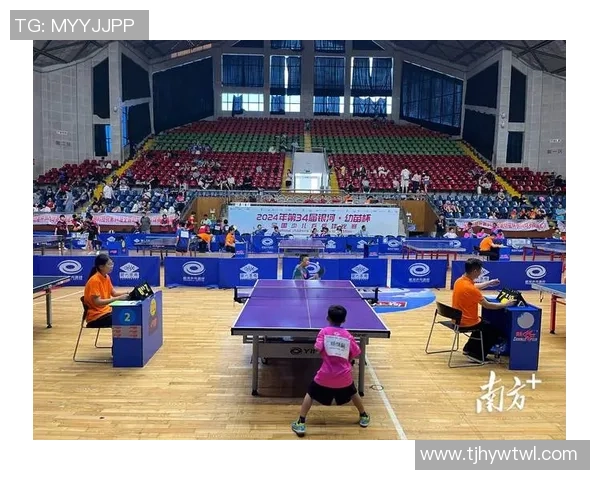 深圳乒乓球队战术解析与训练策略探讨聚焦乒乓球竞技新高度