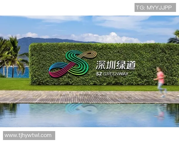 深圳篮球队团队协作的创新之路与热议背后的深层思考 深圳篮球队团队协作的创新之路与热议背后的深层思考